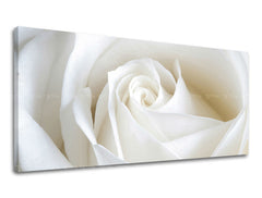 Obraz na stenu Panoráma KVETY | rôzne rozmery