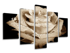 Obraz na stenu KVETY | rôzne rozmery