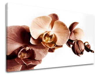 Obraz na stenu KVETY | rôzne rozmery