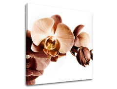 Obraz na stenu KVETY | rôzne rozmery