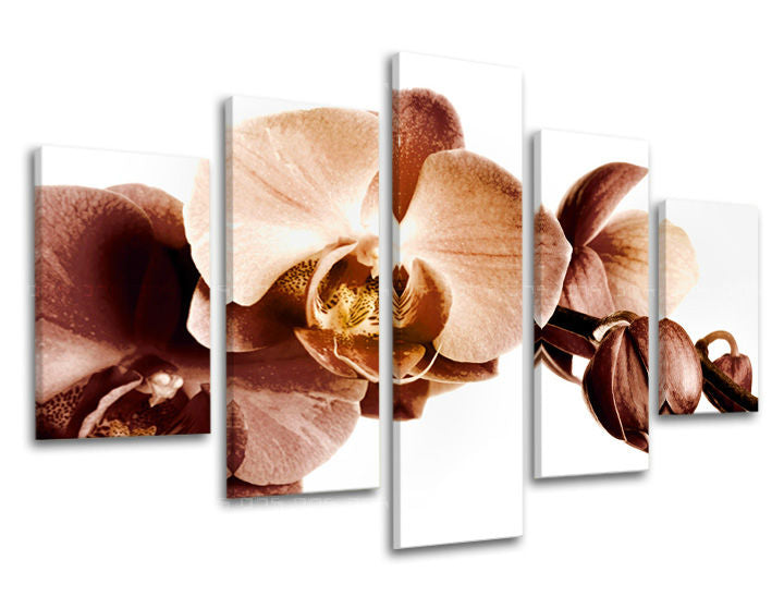 Obraz na stenu KVETY | rôzne rozmery