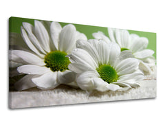 Obraz na stenu Panoráma KVETY | rôzne rozmery