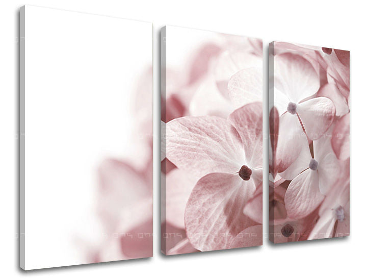 Obraz na stenu KVETY | rôzne rozmery