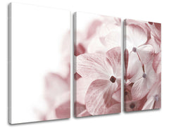 Obraz na stenu KVETY | rôzne rozmery