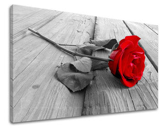 Obraz na stenu KVETY RUŽE | rôzne rozmery