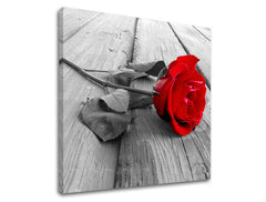 Obraz na stenu KVETY | rôzne rozmery