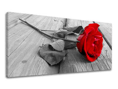 Obraz na stenu Panoráma KVETY | rôzne rozmery