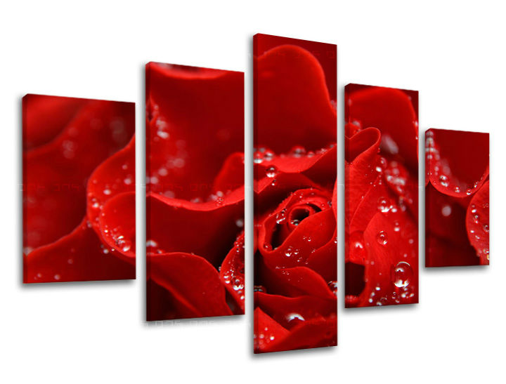 Obraz na stenu KVETY | rôzne rozmery