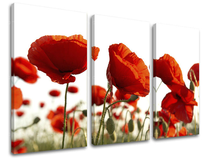 Obraz na stenu KVETY | rôzne rozmery