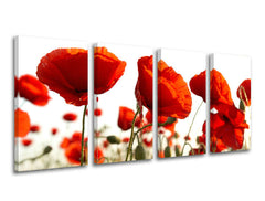 Obraz na stenu KVETY | rôzne rozmery