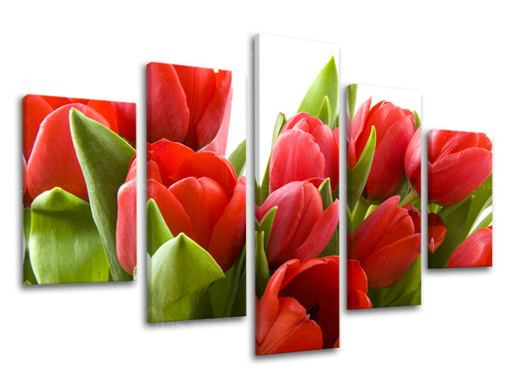 Obraz na stenu KVETY | rôzne rozmery