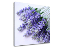 Obraz na stenu KVETY | rôzne rozmery