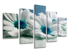 Obraz na stenu KVETY | rôzne rozmery