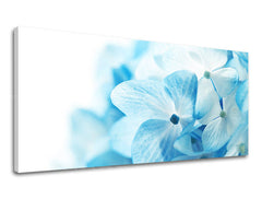 Obraz na stenu Panoráma KVETY | rôzne rozmery