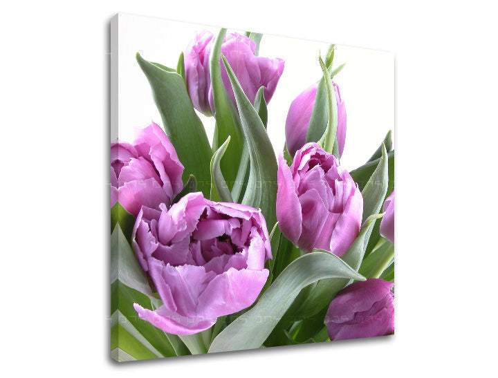 Obraz na stenu KVETY | rôzne rozmery