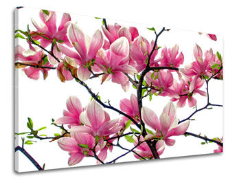 Obraz na stenu KVETY | rôzne rozmery