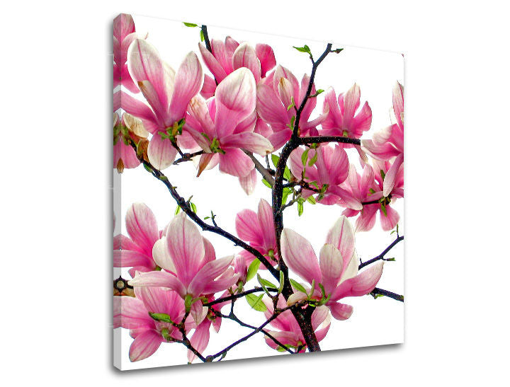 Obraz na stenu KVETY | rôzne rozmery