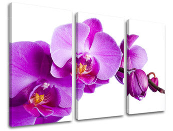 Obraz na stenu KVETY | rôzne rozmery