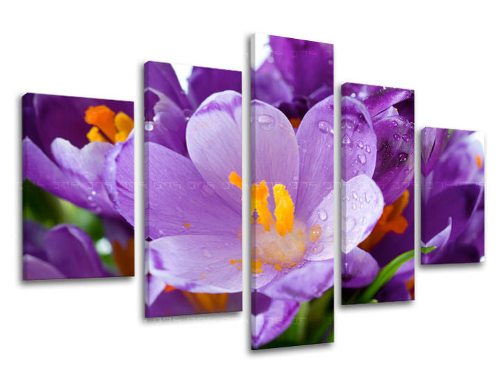 Obraz na stenu KVETY | rôzne rozmery