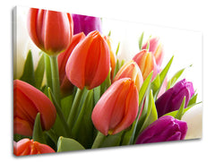 Obraz na stenu KVETY TULIPÁNY | rôzne rozmery