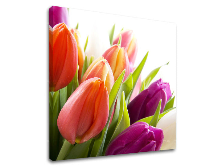 Obraz na stenu KVETY | rôzne rozmery