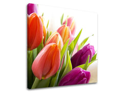 Obraz na stenu KVETY | rôzne rozmery