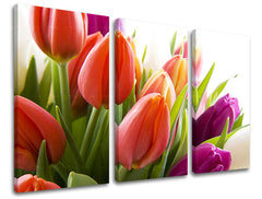 Obraz na stenu KVETY | rôzne rozmery