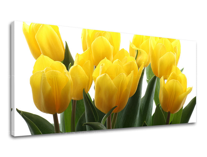 Obraz na stenu Panoráma KVETY | rôzne rozmery