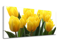 Obraz na stenu Panoráma KVETY | rôzne rozmery