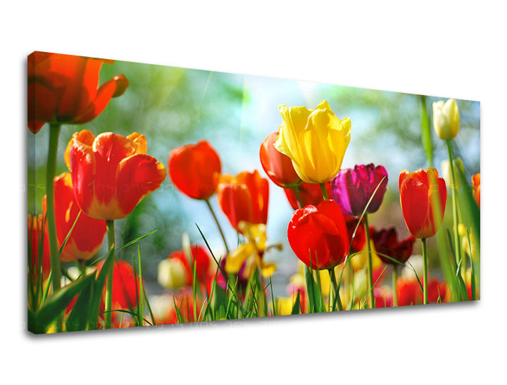Obraz na stenu Panoráma KVETY | rôzne rozmery