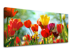 Obraz na stenu Panoráma KVETY | rôzne rozmery