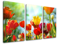 Obraz na stenu KVETY | rôzne rozmery