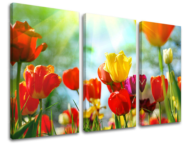 Obraz na stenu KVETY | rôzne rozmery