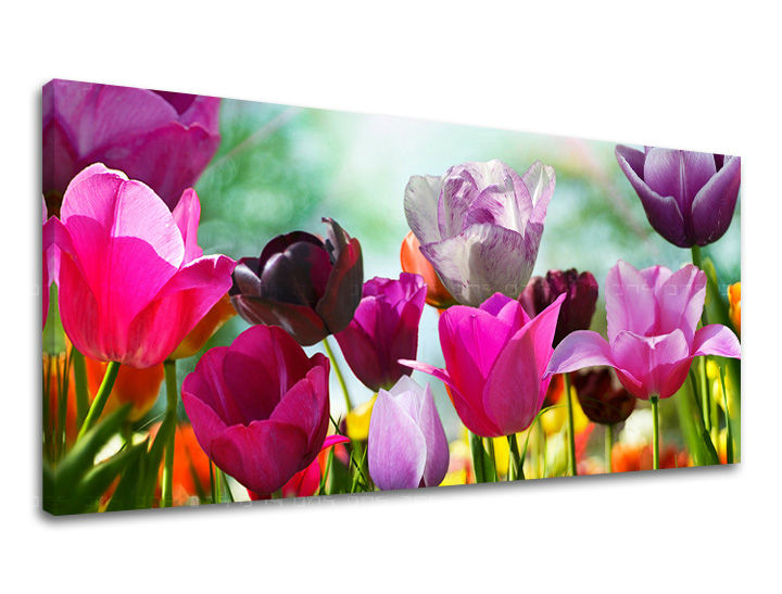 Obraz na stenu Panoráma KVETY | rôzne rozmery