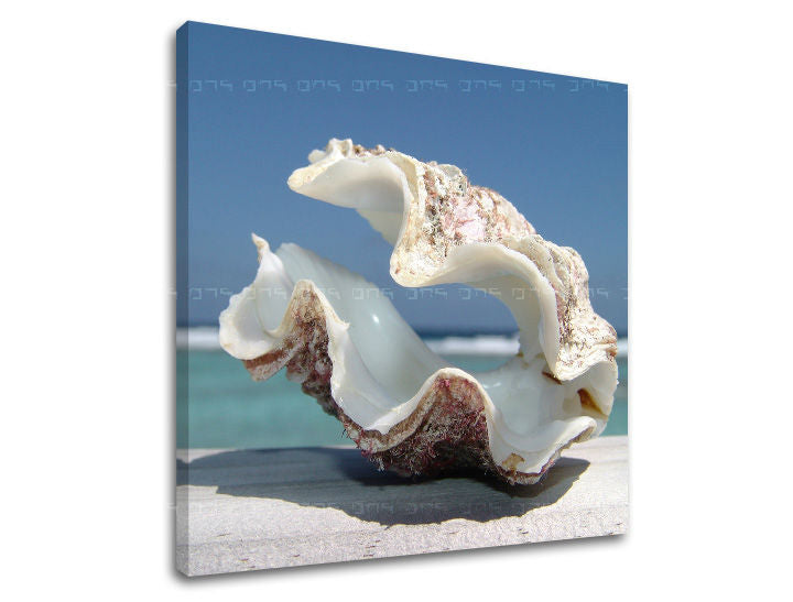 Obraz na stenu PLÁŽ | rôzne rozmery