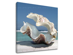 Obraz na stenu PLÁŽ | rôzne rozmery