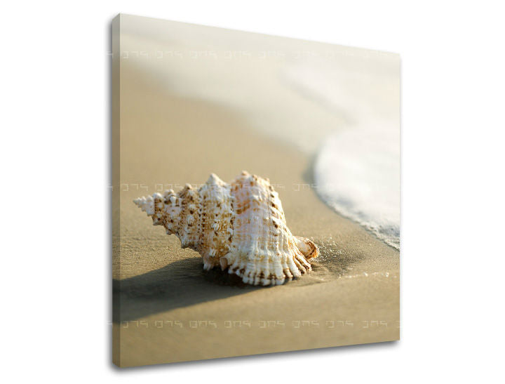 Obraz na stenu PLÁŽ | rôzne rozmery