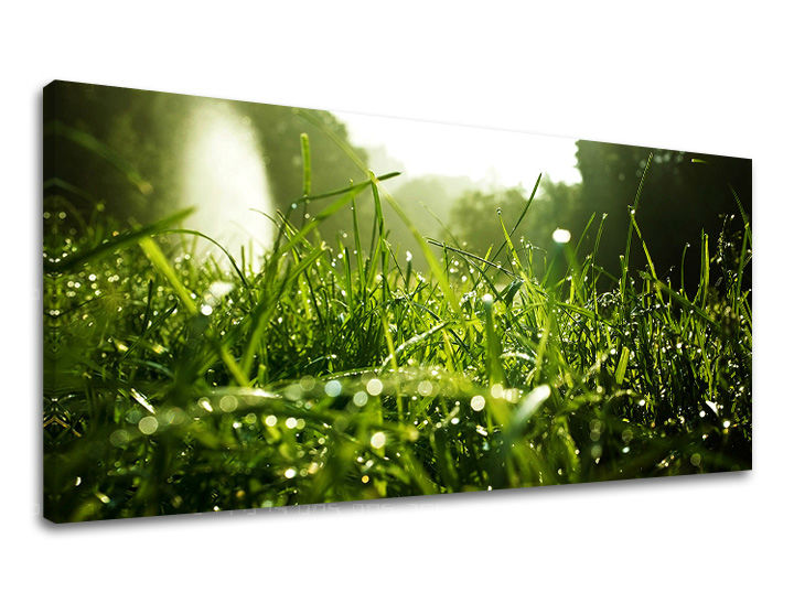 Obraz na stenu PANORÁMA RASTLINY | rôzne rozmery
