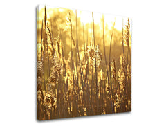 Obraz na stenu RASTLINY | rôzne rozmery