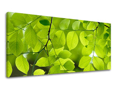 Obraz na stenu PANORÁMA RASTLINY | rôzne rozmery