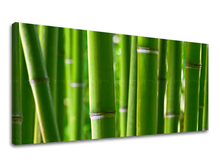 Obraz na stenu PANORÁMA RASTLINY | rôzne rozmery