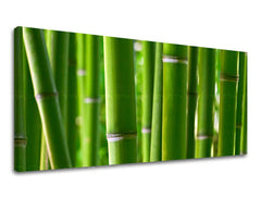 Obraz na stenu PANORÁMA RASTLINY | rôzne rozmery