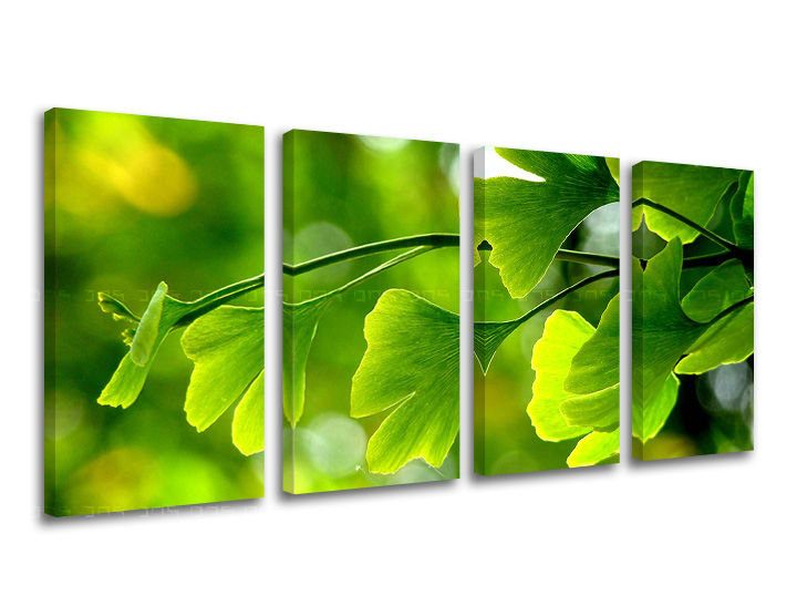 Obraz na stenu RASTLINY | rôzne rozmery