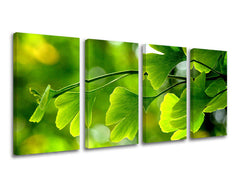 Obraz na stenu RASTLINY | rôzne rozmery