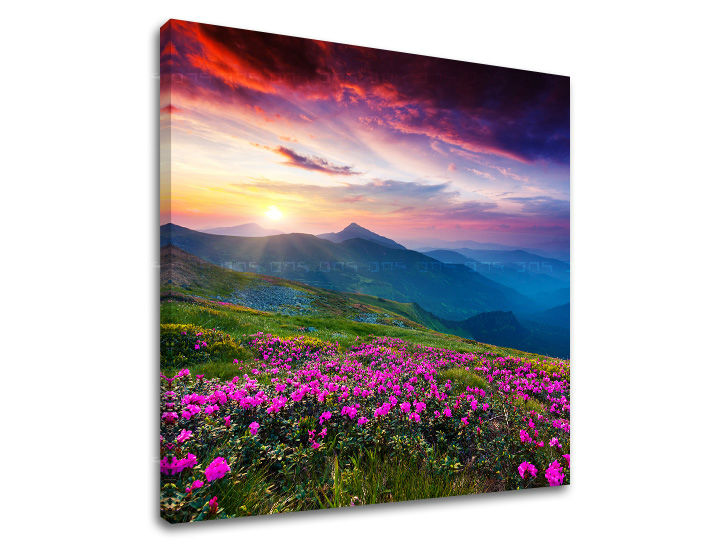 Obraz na stenu SLOVENSKO | rôzne rozmery