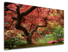 Obraz na stenu STROMY | rôzne rozmery