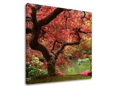 Obraz na stenu STROMY | rôzne rozmery