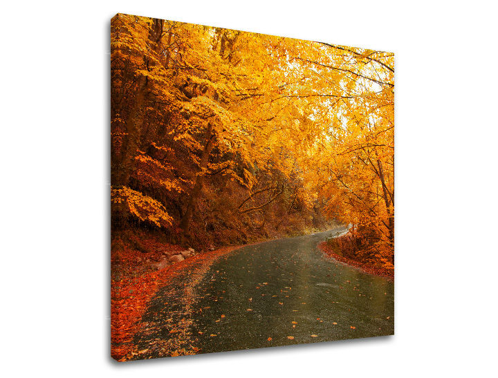 Obraz na stenu STROMY | rôzne rozmery