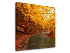 Obraz na stenu STROMY | rôzne rozmery