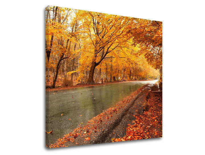 Obraz na stenu STROMY | rôzne rozmery